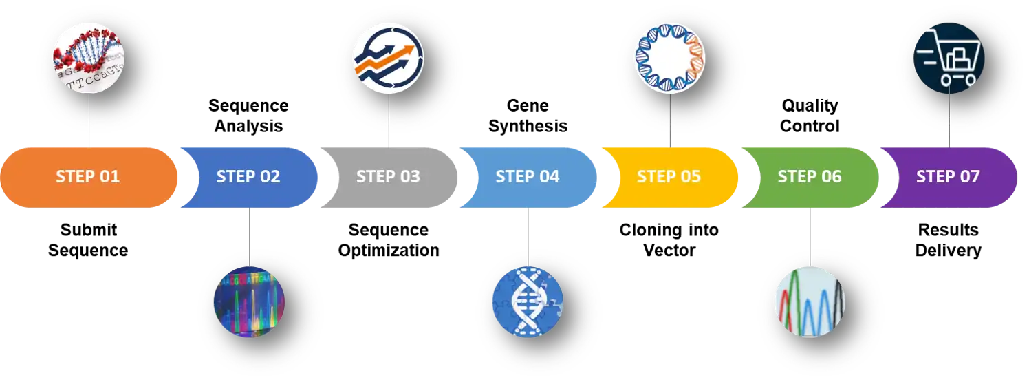 Service Process of Vector Construction